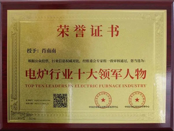 电炉行业十大领军人物